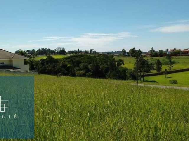 Terreno para Venda em Araçoiaba da Serra - 3